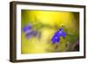 Yellow Depth-Philippe Sainte-Laudy-Framed Photographic Print