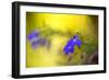 Yellow Depth-Philippe Sainte-Laudy-Framed Photographic Print