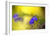 Yellow Depth-Philippe Sainte-Laudy-Framed Photographic Print