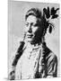 Yellow Dog, North American Indian, C1885-90-null-Mounted Giclee Print