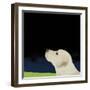 Yellow Dog Profile, 2008-Marjorie Weiss-Framed Giclee Print