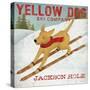 Yellow Dog Ski Co.- Jackson Hole-Ryan Fowler-Stretched Canvas