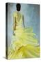 Yellow Dress-Kari Taylor-Stretched Canvas