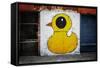 Yellow Duck on Brick Wall in Brooklyn NY-null-Framed Stretched Canvas