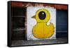 Yellow Duck on Brick Wall in Brooklyn NY-null-Framed Stretched Canvas