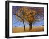 Yellow Elm-Chris Vest-Framed Photographic Print