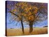 Yellow Elm-Chris Vest-Stretched Canvas