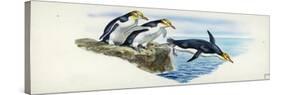 Yellow-Eyed Penguins Megadyptes Antipodes-null-Stretched Canvas