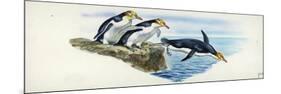 Yellow-Eyed Penguins Megadyptes Antipodes-null-Mounted Giclee Print