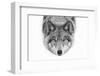 Yellow Eyes - Timber Wolf-Jim Cumming-Framed Photographic Print