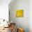 Yellow Fall Leaves 007-Tom Quartermaine-Giclee Print displayed on a wall