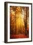 Yellow Fall-Philippe Saint-Laudy-Framed Photographic Print