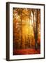 Yellow Fall-Philippe Saint-Laudy-Framed Photographic Print