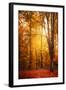 Yellow Fall-Philippe Saint-Laudy-Framed Photographic Print