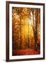 Yellow Fall-Philippe Saint-Laudy-Framed Photographic Print