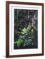 Yellow Ferns-Jon Carsman-Framed Limited Edition