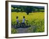 Yellow Field, Kedleston, Derby-Andrew Macara-Framed Giclee Print