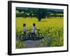 Yellow Field, Kedleston, Derby-Andrew Macara-Framed Giclee Print