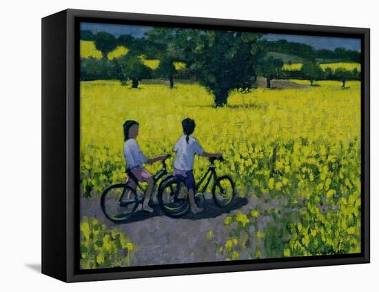 Yellow Field, Kedleston, Derby-Andrew Macara-Framed Stretched Canvas