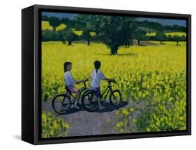 Yellow Field, Kedleston, Derby-Andrew Macara-Framed Stretched Canvas
