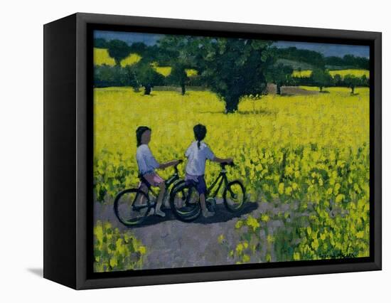 Yellow Field, Kedleston, Derby-Andrew Macara-Framed Stretched Canvas