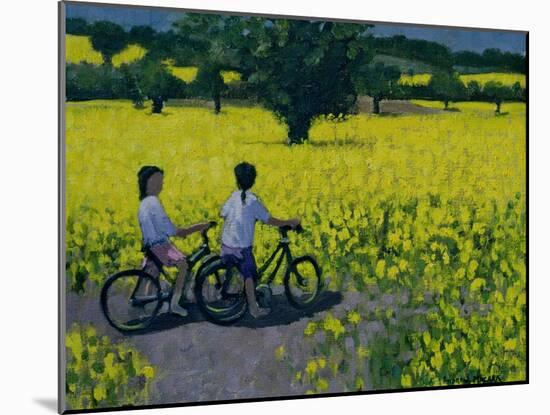 Yellow Field, Kedleston, Derby-Andrew Macara-Mounted Giclee Print