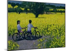 Yellow Field, Kedleston, Derby-Andrew Macara-Mounted Giclee Print