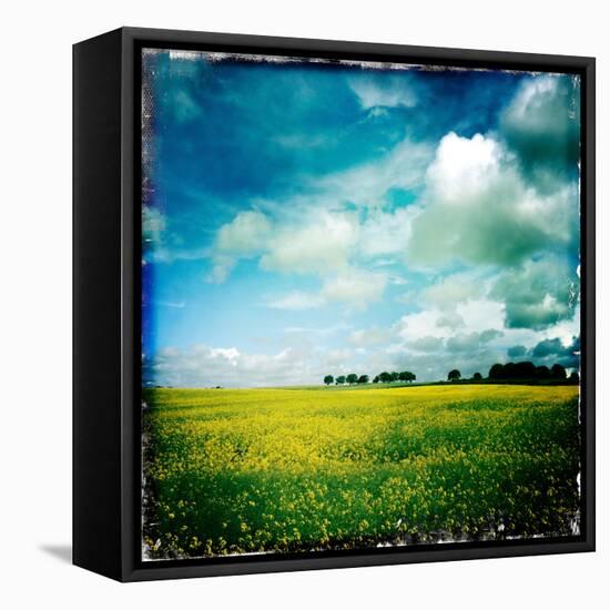 Yellow Field of Rape Seed-Craig Roberts-Framed Stretched Canvas