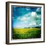 Yellow Field of Rape Seed-Craig Roberts-Framed Photographic Print