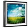 Yellow Field of Rape Seed-Craig Roberts-Framed Photographic Print