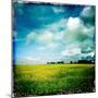 Yellow Field of Rape Seed-Craig Roberts-Mounted Photographic Print