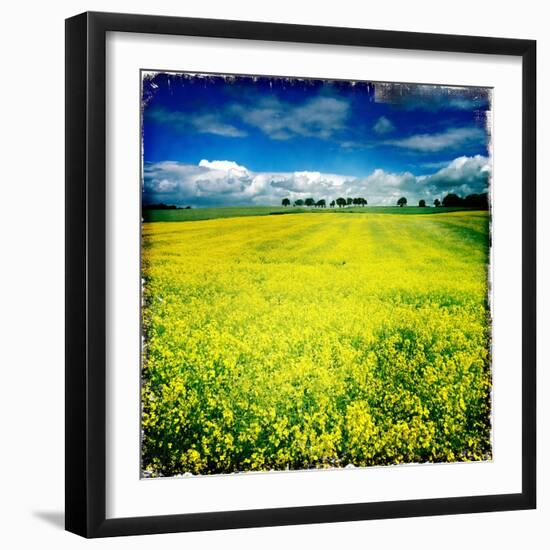 Yellow Field of Rape Seed-Craig Roberts-Framed Photographic Print