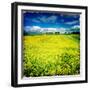 Yellow Field of Rape Seed-Craig Roberts-Framed Photographic Print