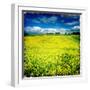 Yellow Field of Rape Seed-Craig Roberts-Framed Photographic Print