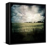 Yellow Field of Rape Seed-Craig Roberts-Framed Stretched Canvas