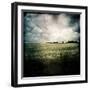 Yellow Field of Rape Seed-Craig Roberts-Framed Photographic Print