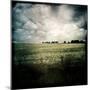 Yellow Field of Rape Seed-Craig Roberts-Mounted Photographic Print