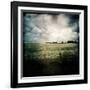 Yellow Field of Rape Seed-Craig Roberts-Framed Photographic Print