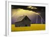 Yellow Field-null-Framed Photographic Print