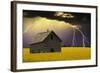 Yellow Field-null-Framed Photographic Print