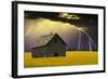 Yellow Field-null-Framed Photographic Print