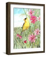 Yellow Finch Cosmos-Melinda Hipsher-Framed Giclee Print