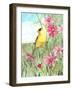 Yellow Finch Cosmos-Melinda Hipsher-Framed Giclee Print