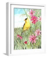 Yellow Finch Cosmos-Melinda Hipsher-Framed Giclee Print