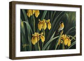 Yellow Flags and Yellowthroat-Wilhelm Goebel-Framed Giclee Print