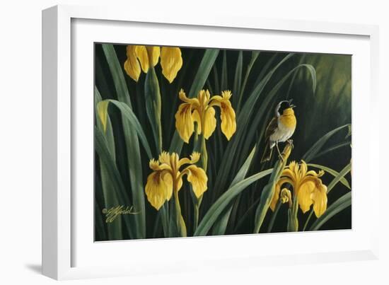 Yellow Flags and Yellowthroat-Wilhelm Goebel-Framed Giclee Print