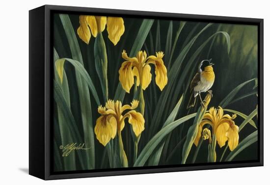 Yellow Flags and Yellowthroat-Wilhelm Goebel-Framed Stretched Canvas