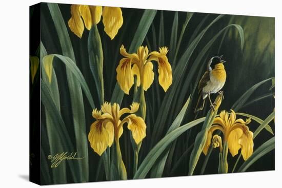 Yellow Flags and Yellowthroat-Wilhelm Goebel-Stretched Canvas