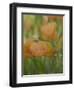 Yellow Flax Along Interstate 35, Near Devine, Texas, USA-Darrell Gulin-Framed Photographic Print