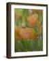 Yellow Flax Along Interstate 35, Near Devine, Texas, USA-Darrell Gulin-Framed Photographic Print